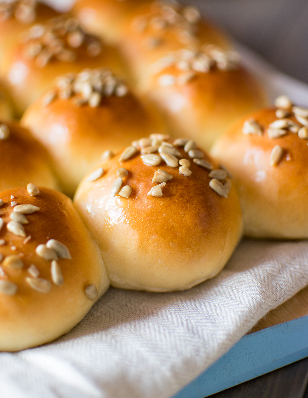 bread_rolls_ricetta
